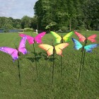 Butterfly Bouncy Yard Stake from Flowers by Ray and Sharon in Muskegon, MI
