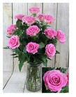 Sparkle Roses - Pink Dozen from Flowers by Ray and Sharon in Muskegon, MI