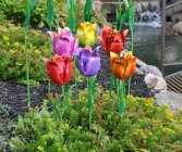 Tulip Garden Stakes from Flowers by Ray and Sharon in Muskegon, MI
